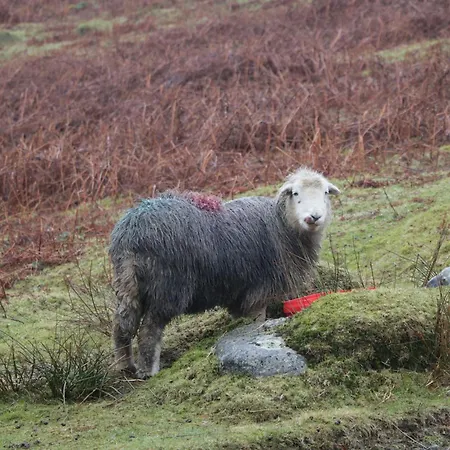 Hampton House St. Bees