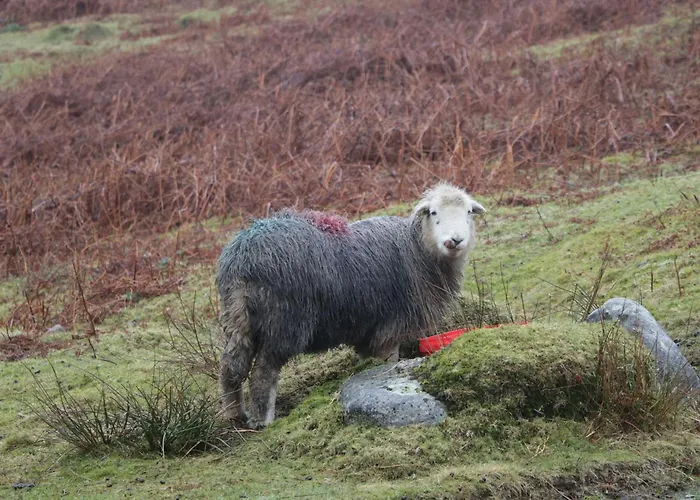 Hampton House St Bees